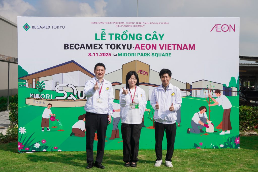 trồng cây midori 2